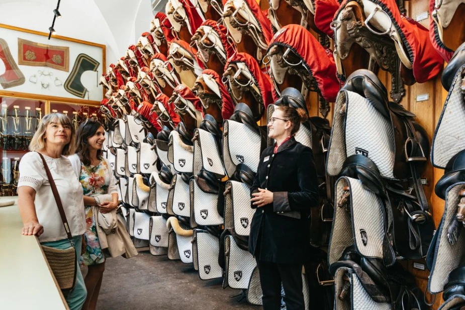 Wardrobe and luggage