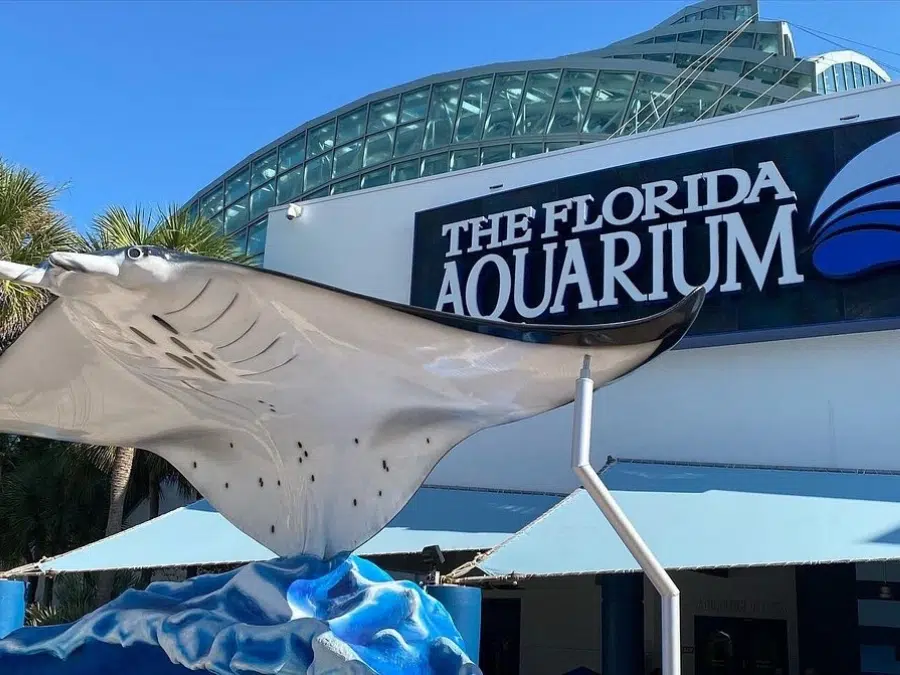 Jadwal Akuarium Florida