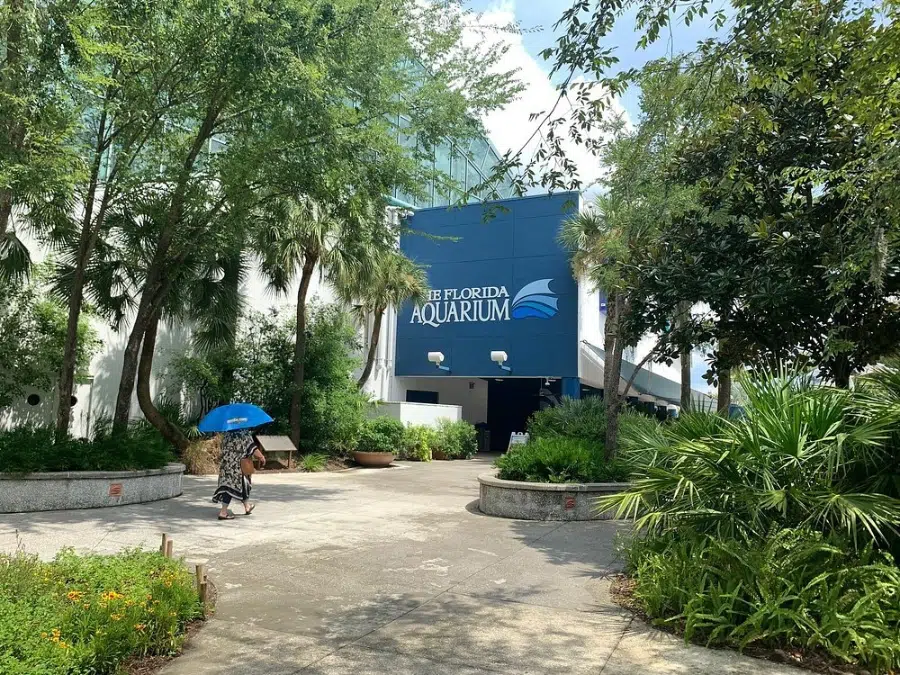 adventure at the Florida Aquarium