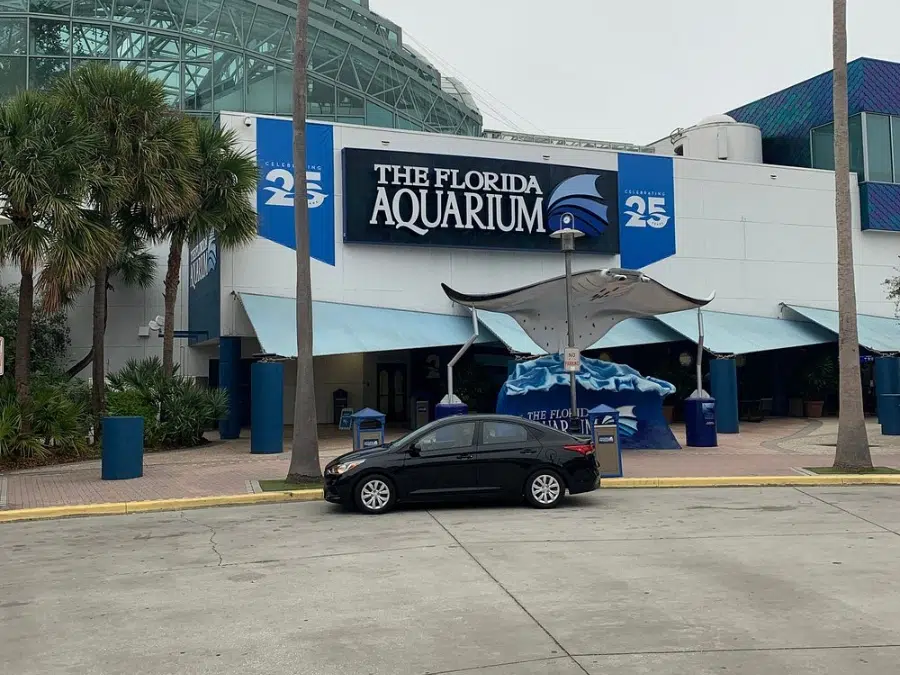 Jadwalkan kunjungan Anda di Akuarium Florida