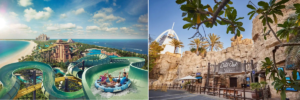 Aquaventure vs Wild Wadi