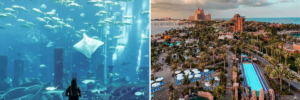Combo of Aquaventure and Lost Chambers Aquarium