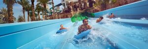 Leap of Faith at Atlantis Aquaventure Water Park