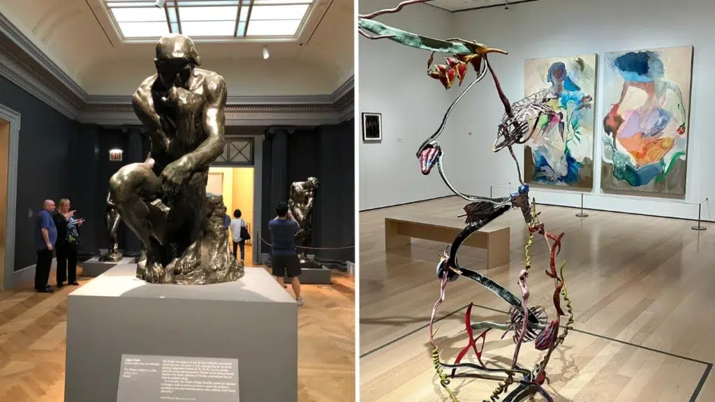 The MET vs MoMA- Overall Art Collection