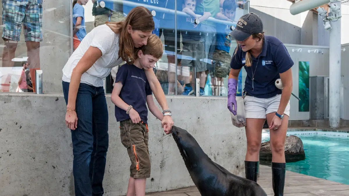 Animal Encounter