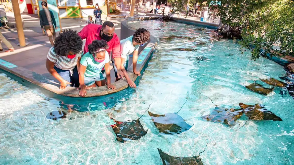 Aquarium of the Pacific Membership Voucher