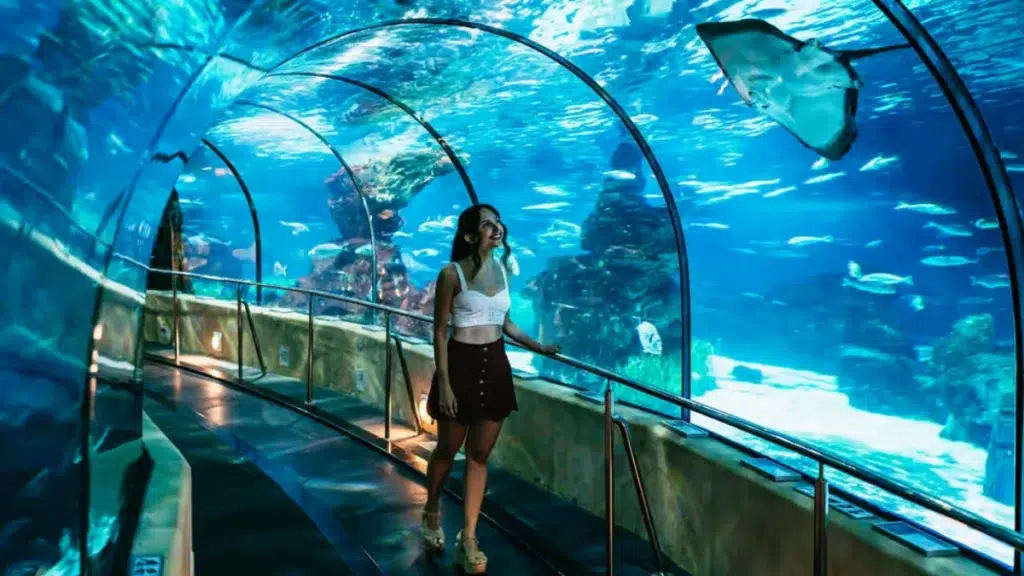 巴塞罗那水族馆免排队门票