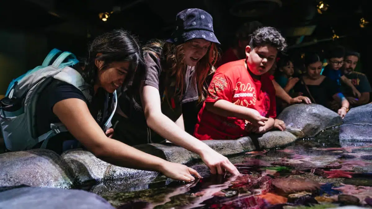 Experiences at Aquarium of the Pacific