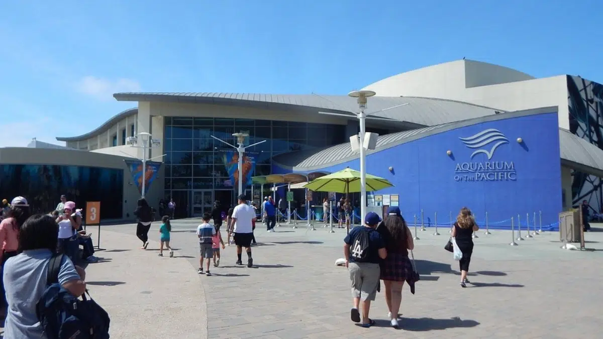 Pacific Aquarium Opening Hours