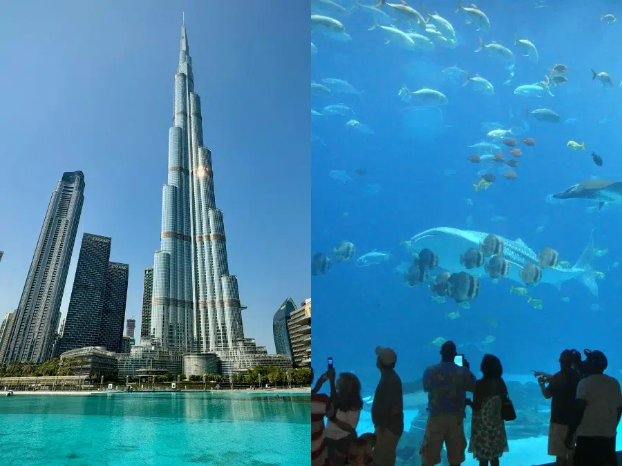 Burj Khalifa and Dubai Auqarium combo