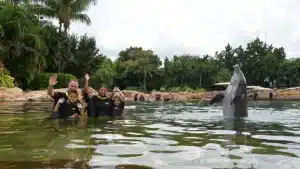 Discovery Cove Admission Ticket|