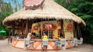 Discovery Cove Restaurants