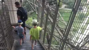 Eiffel Tower Stairs