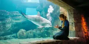 Endless Ocean Realm|First SeaWorld park beyond US