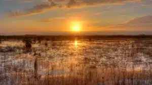 Everglades Hidden Gems