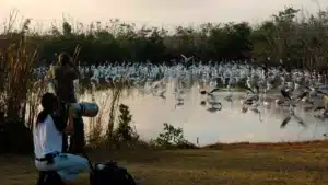 Everglades National Park Birdwatching
