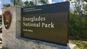 Everglades national park shark valley|Shark Valley Adventure bBiking|Accessibility and Special Needs|Observation deck everglades|Tour Highlights|Ranger Programs|Shark Valley Trails|Tram Tours