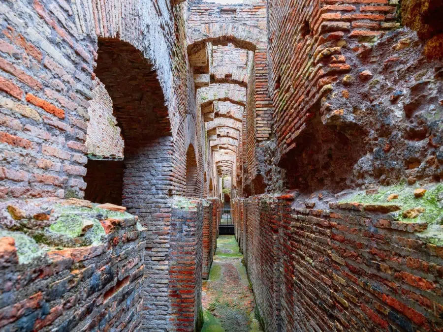 Exclusive Colosseum Underground Tour