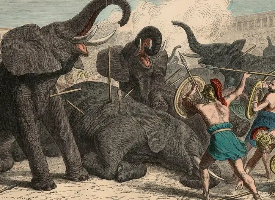 Exotic-Animal-Hunts.webp