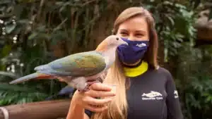 Explorer’s Aviary Discovery Cove|