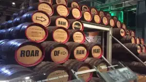 Guinness Storehouse Combos