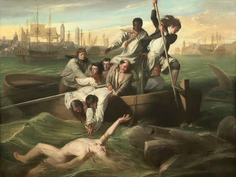 History