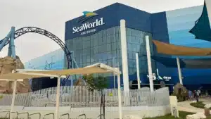 How long does it take to visit SeaWorld Abu Dhabi|How long it take to visit Sea World Yas Island