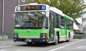 How to Get to Tokyo Disneyland|By Bus Tokyo|By Taxi In Tokyo