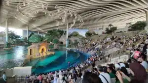 How to reach SeaWorld Yas Island|How to Reach Sea World Yas Island