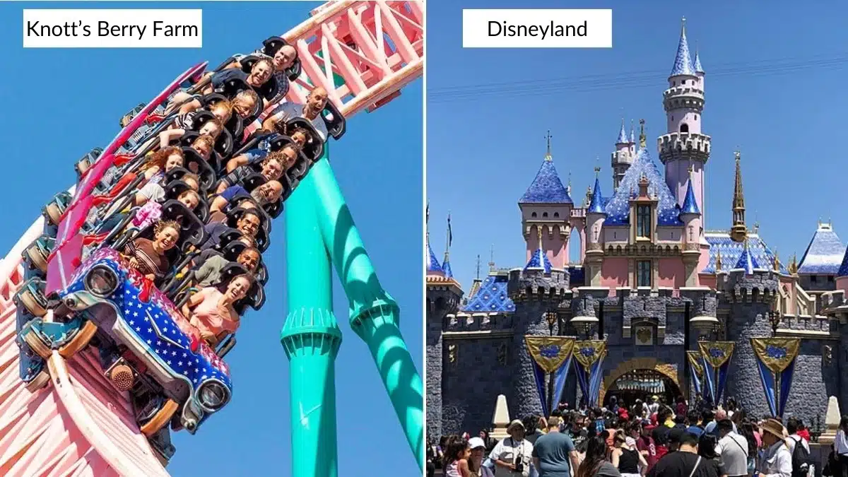 Knotts Berry Farm vs Disneyland|HangTime|Disneyland California|Entertainment Helloween season|Food Disneyland Celifornia|Water park Disneyland|Opening Hours Disneyland|Disneyland California address