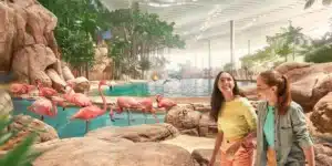 Live Characters|Live Characters Performances