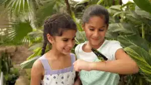 Niagara falls Butterfly Conservatory||||