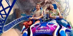 Rides|Interactive Rides