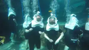 Sea Venture Discovery Cove|