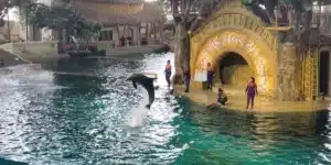 SeaWorld Abu Dhabi Combo|Sea World Yas Island Combo Tickets