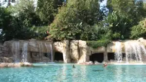 Serenity Bay Discovery Cove||