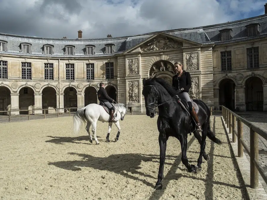 Stables of Versailles
