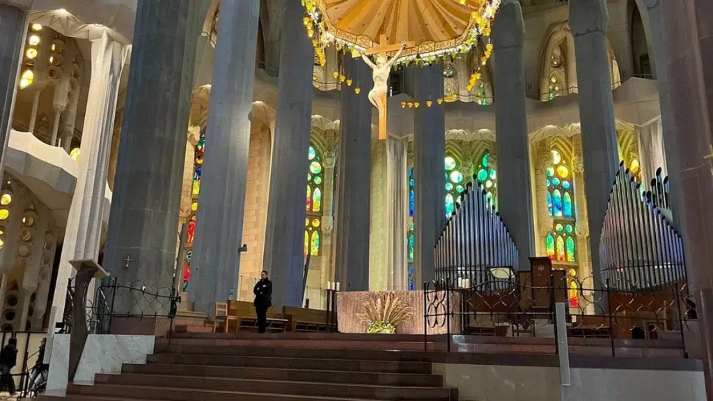 The Organ