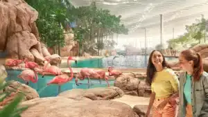 Tropical Ocean Realm Sea World Abu Dhabi