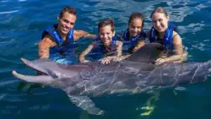 Xcaret Dolphins Primax|