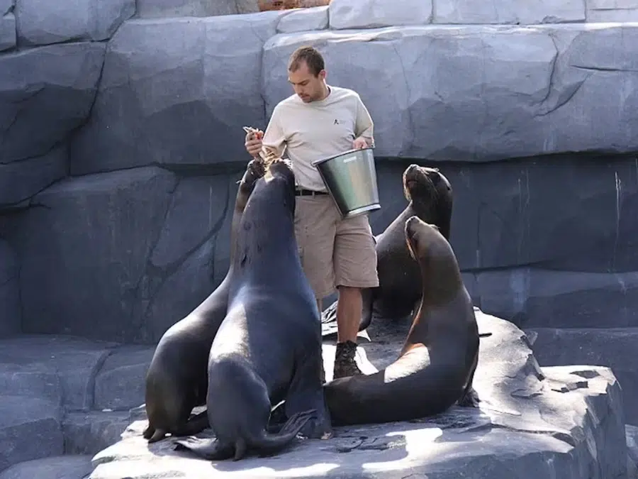 Disneyland Paris & Paris Zoo Tickets