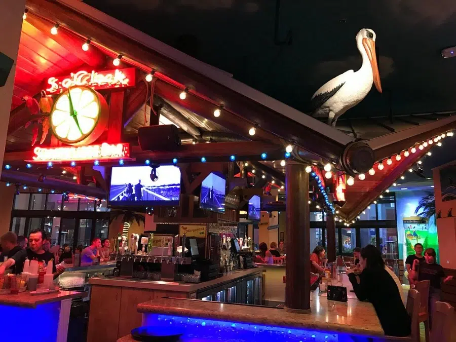 Jimmy Buffett’s Margaritaville