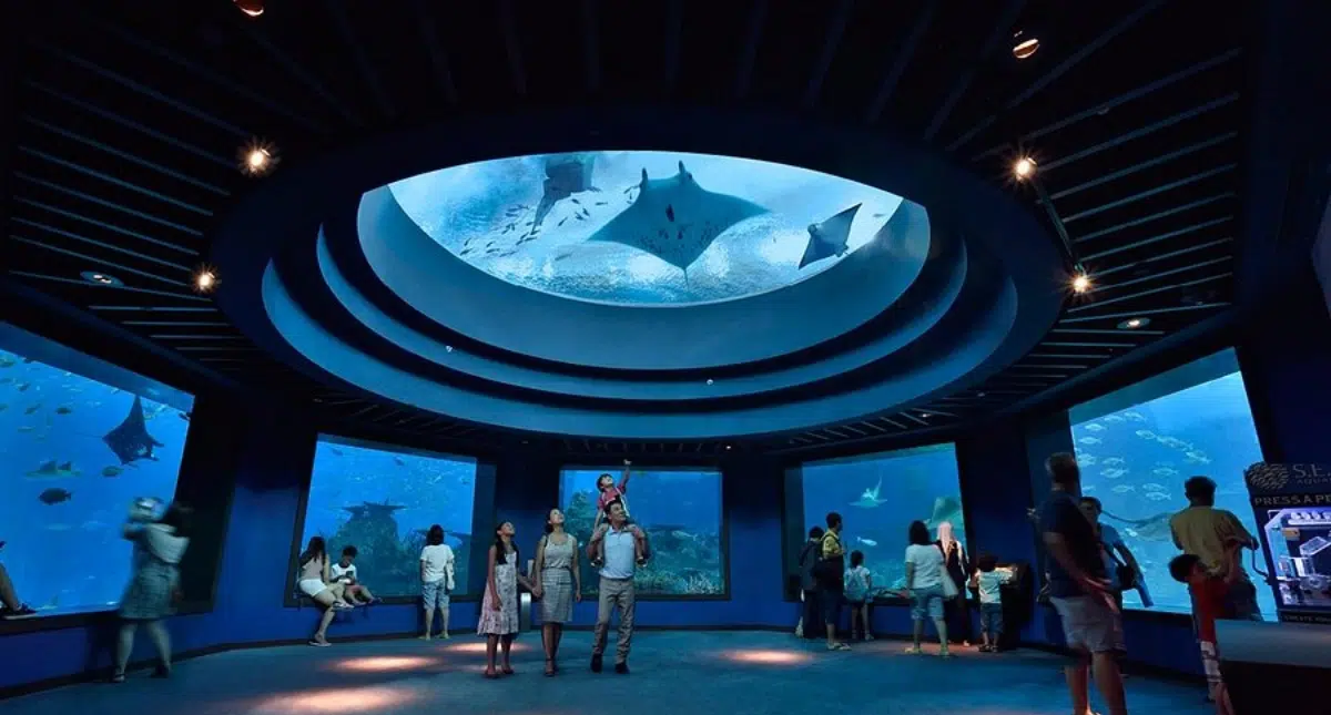 Universal Studios Singapore and S.E.A Aquarium Combo Ticket